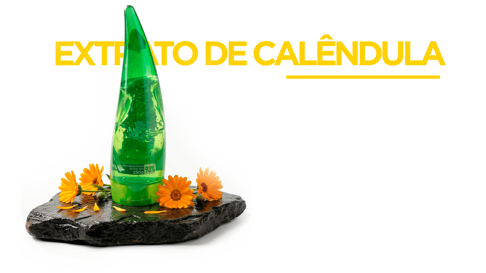 Extrato de Calêndula